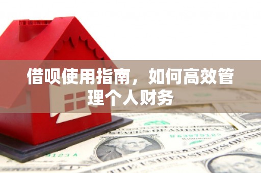 巍山借呗使用指南，如何高效管理个人财务