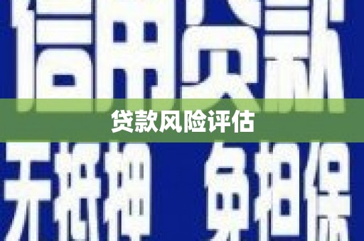 巍山贷款风险评估