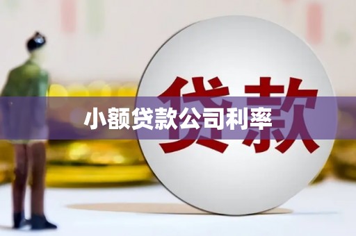巍山小额贷款公司利率