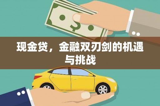 巍山现金贷，金融双刃剑的机遇与挑战