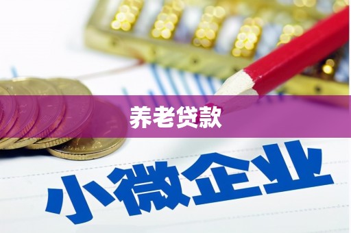 巍山养老贷款