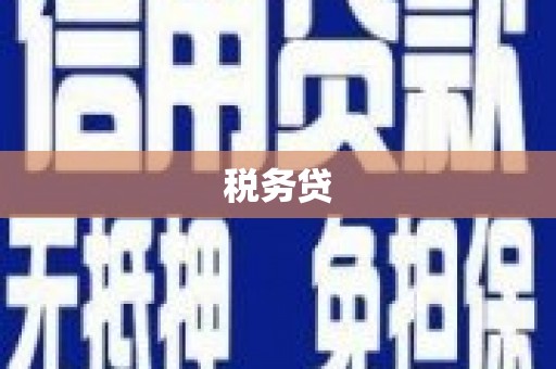 巍山税务贷