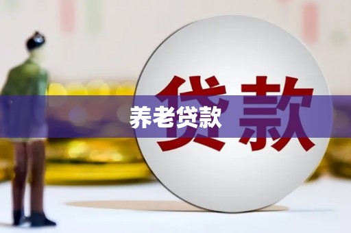 巍山养老贷款