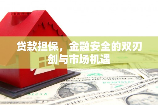 巍山贷款担保，金融安全的双刃剑与市场机遇