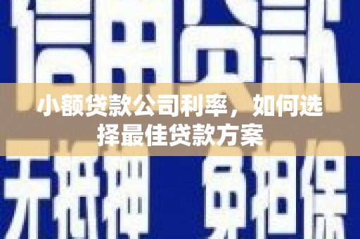 巍山小额贷款公司利率，如何选择最佳贷款方案