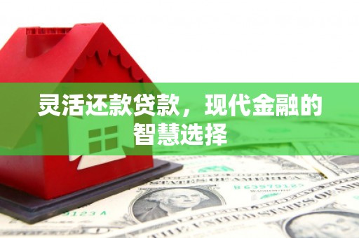 巍山灵活还款贷款，现代金融的智慧选择