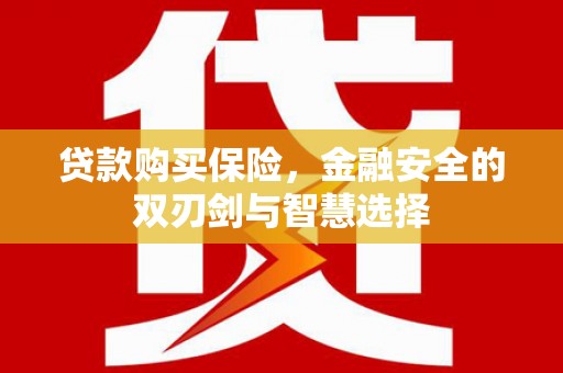 巍山贷款购买保险，金融安全的双刃剑与智慧选择