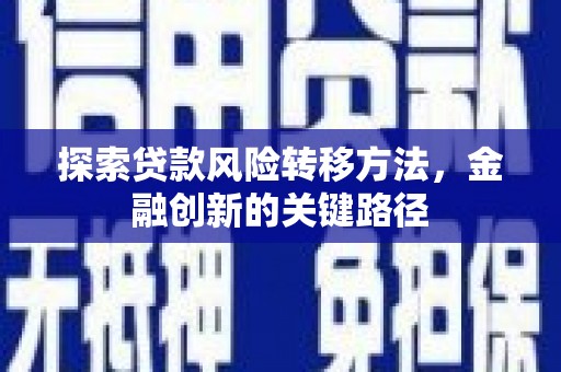 巍山探索贷款风险转移方法，金融创新的关键路径