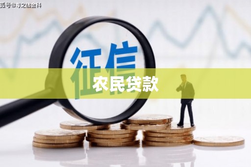 巍山农民贷款