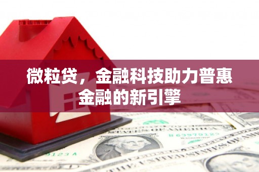巍山微粒贷，金融科技助力普惠金融的新引擎
