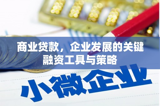 巍山商业贷款，企业发展的关键融资工具与策略