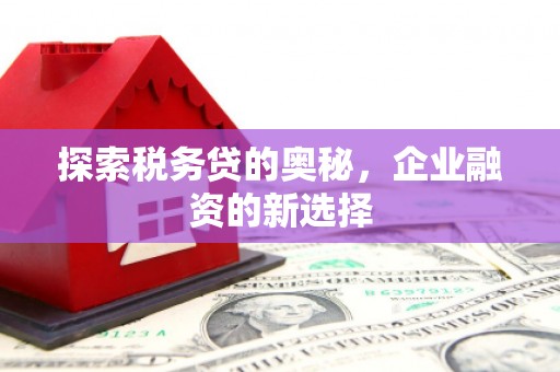 巍山探索税务贷的奥秘，企业融资的新选择