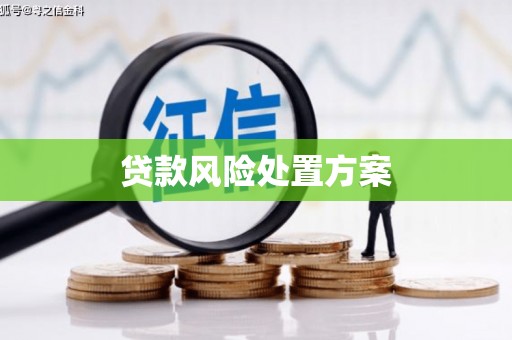 巍山贷款风险处置方案