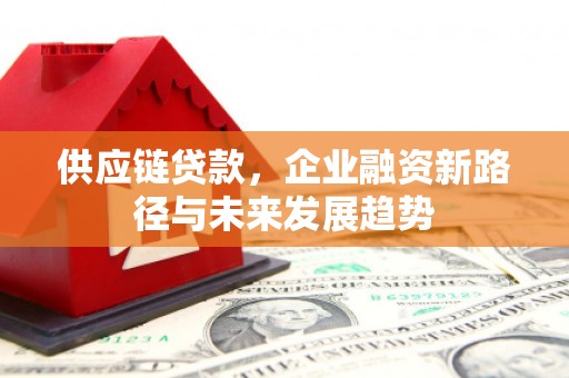 巍山供应链贷款，企业融资新路径与未来发展趋势