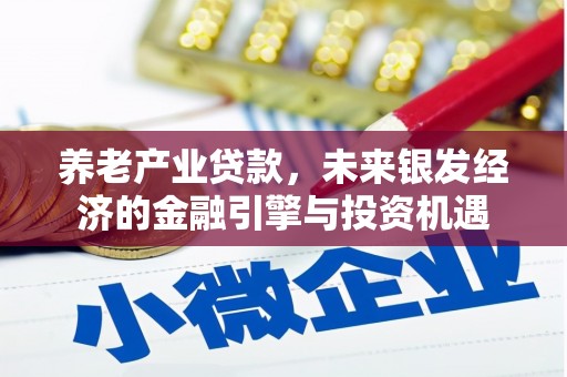 巍山养老产业贷款，未来银发经济的金融引擎与投资机遇