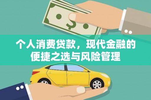 巍山个人消费贷款，现代金融的便捷之选与风险管理