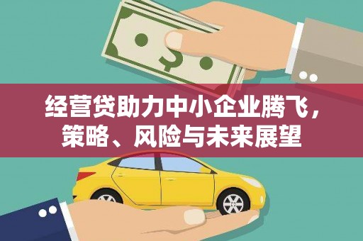 巍山经营贷助力中小企业腾飞，策略、风险与未来展望
