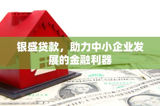 巍山银盛贷款，助力中小企业发展的金融利器