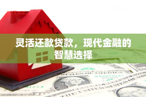 巍山灵活还款贷款，现代金融的智慧选择