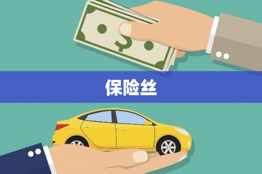 巍山保险丝