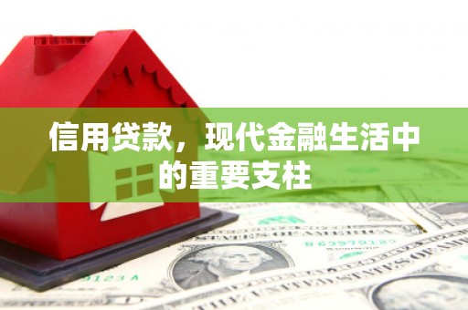巍山信用贷款，现代金融生活中的重要支柱
