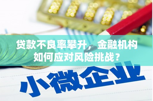 巍山贷款不良率攀升，金融机构如何应对风险挑战？