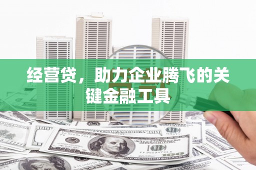 巍山经营贷，助力企业腾飞的关键金融工具