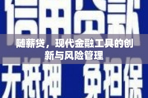 巍山随薪贷，现代金融工具的创新与风险管理
