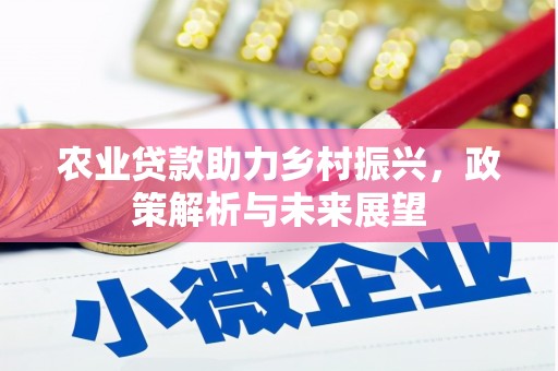 巍山农业贷款助力乡村振兴，政策解析与未来展望
