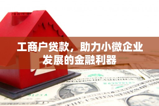 巍山工商户贷款，助力小微企业发展的金融利器