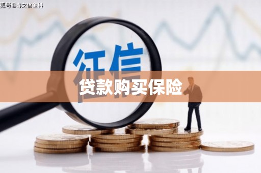 巍山贷款购买保险