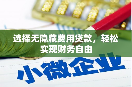 巍山选择无隐藏费用贷款，轻松实现财务自由