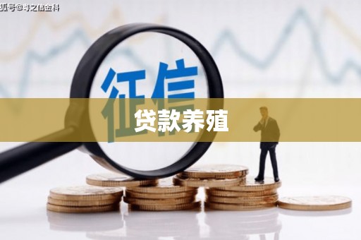 巍山贷款养殖