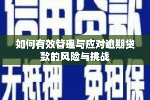 巍山如何有效管理与应对逾期贷款的风险与挑战