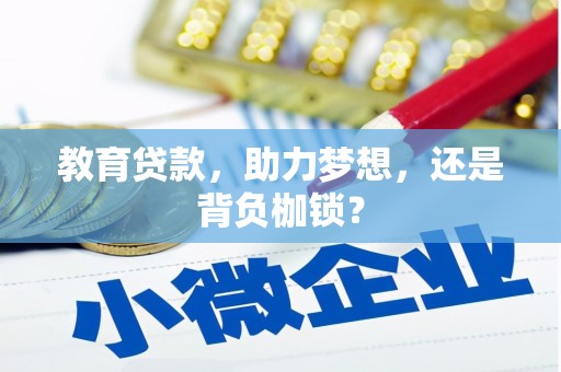 巍山教育贷款，助力梦想，还是背负枷锁？