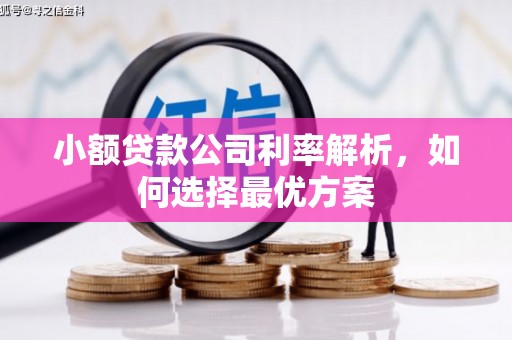 巍山小额贷款公司利率解析，如何选择最优方案