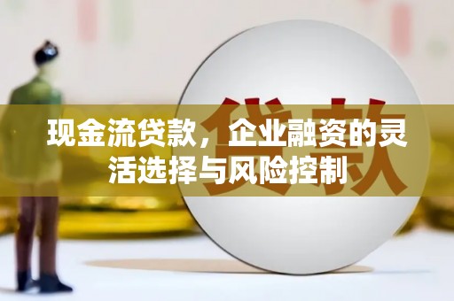 巍山现金流贷款，企业融资的灵活选择与风险控制