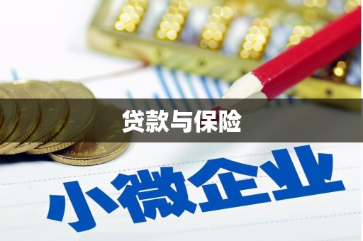巍山贷款与保险