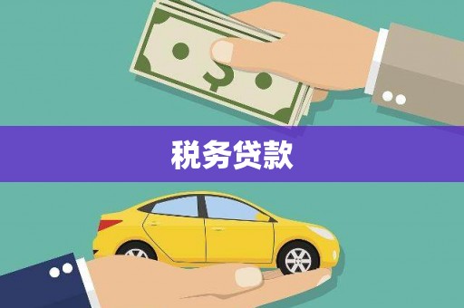 巍山税务贷款