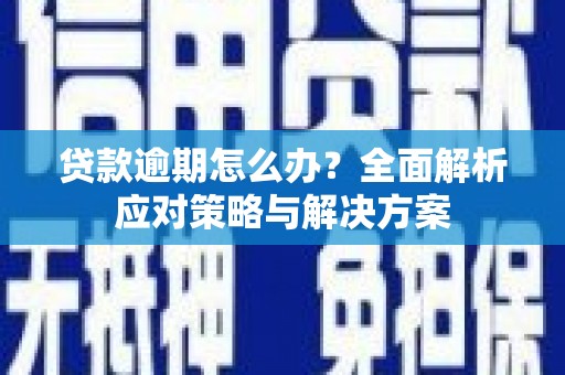 巍山贷款逾期怎么办？全面解析应对策略与解决方案