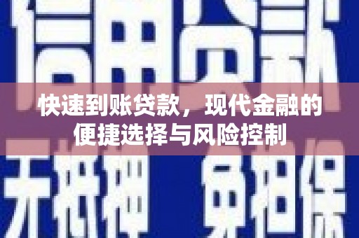 巍山快速到账贷款，现代金融的便捷选择与风险控制