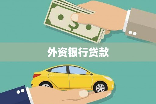 巍山外资银行贷款