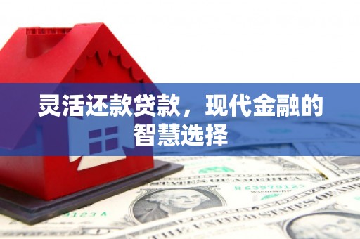 巍山灵活还款贷款，现代金融的智慧选择