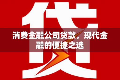 巍山消费金融公司贷款，现代金融的便捷之选