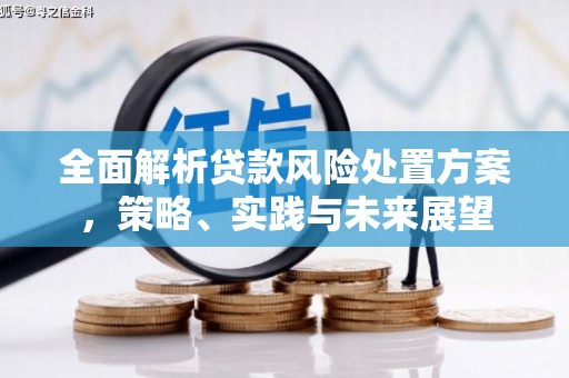 巍山全面解析贷款风险处置方案，策略、实践与未来展望