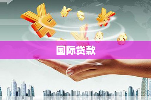 巍山国际贷款