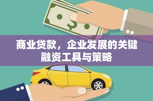 巍山商业贷款，企业发展的关键融资工具与策略