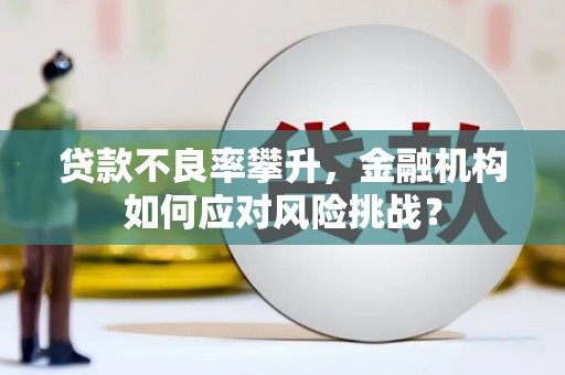 巍山贷款不良率攀升，金融机构如何应对风险挑战？