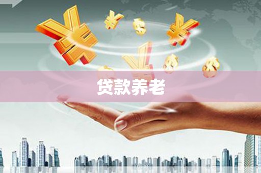 巍山贷款养老