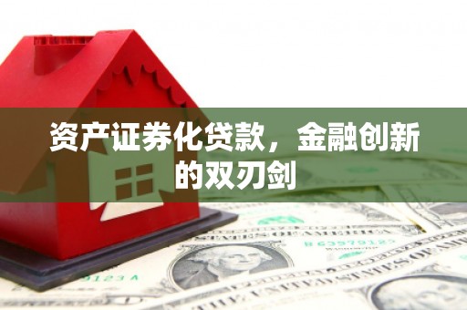巍山资产证券化贷款，金融创新的双刃剑
